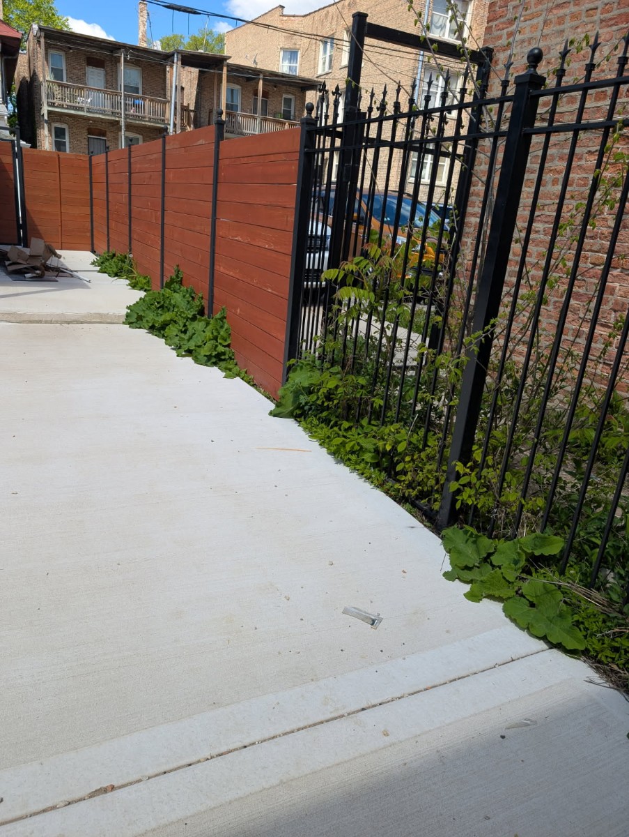 Fresh concrete driveway with cedar privacy fence and ornamental iron gate