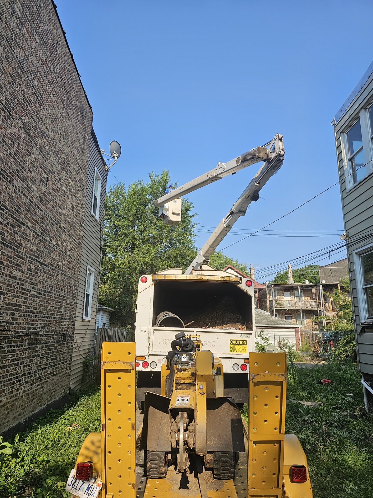 Aerial bucket truck removing a large tree in a residential Chicago alley with stump grinder below